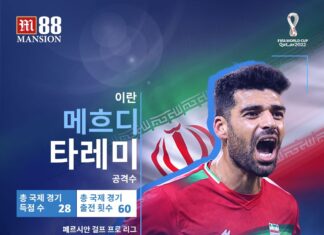 메흐디 타레미