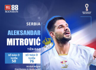 Aleksandar_Mitrovic