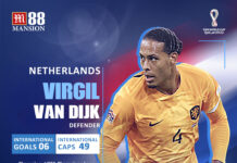 Virgil van Dijk World Cup quarterfinal prediction