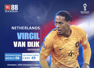 Virgil van Dijk World Cup quarterfinal prediction