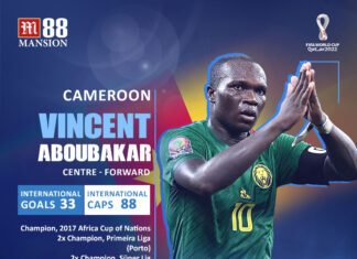 Vincent Aboubakar